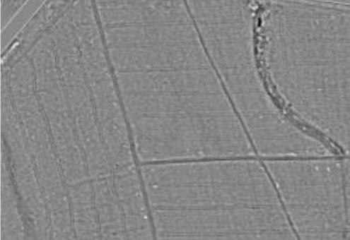 Rückegassenkarte auf Basis von amtlichen Laserscandaten