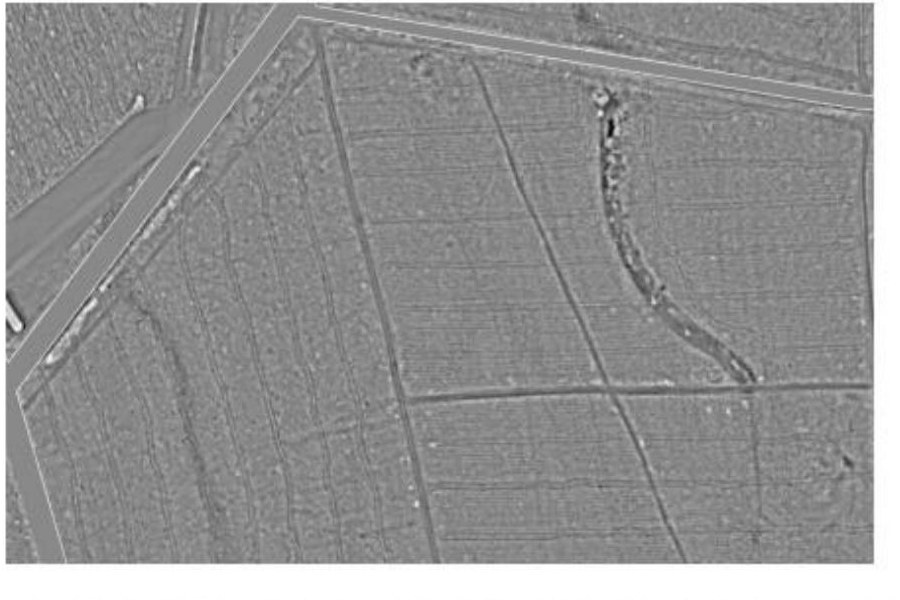Rückegassenkarte auf Basis von amtlichen Laserscandaten